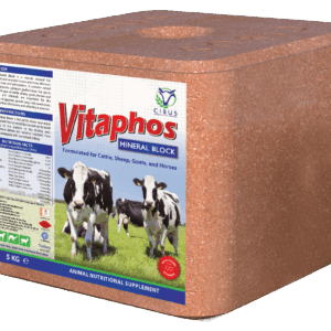 RENDER_MINERAL BLOCK 5KG Mineral Block 5KG